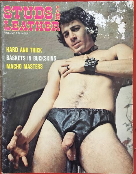 File:Studs in Leather.jpg